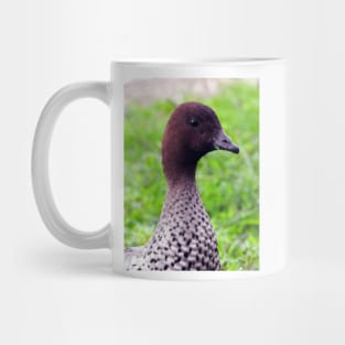 Australian Wood Duck Mug